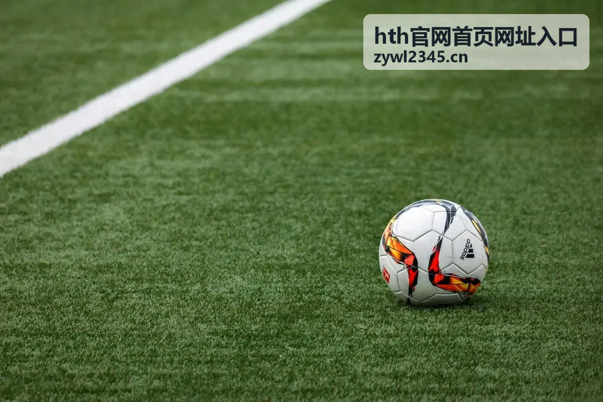 hth官网首页网址入口访问路径示意背景图