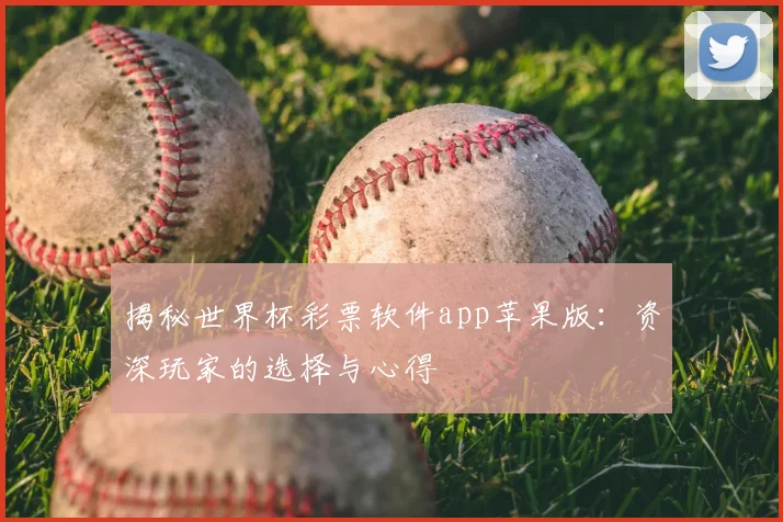 揭秘世界杯彩票软件app苹果版：资深玩家的选择与心得