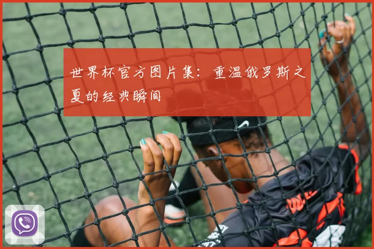世界杯官方图片集:重温俄罗斯之夏的经典瞬间