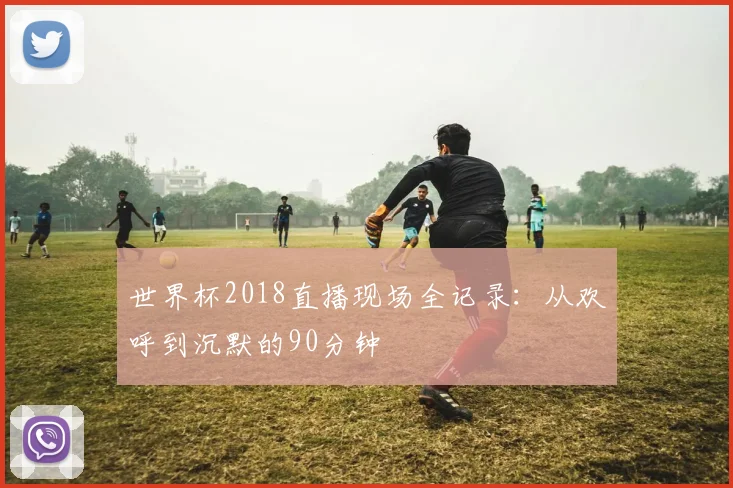 世界杯2018直播现场全记录：从欢呼到沉默的90分钟