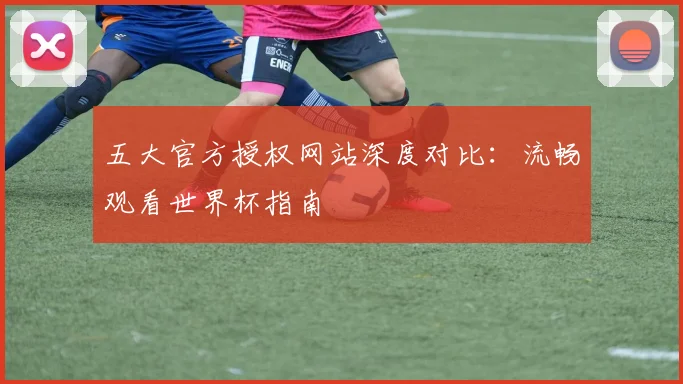 五大官方授权网站深度对比：流畅观看世界杯指南