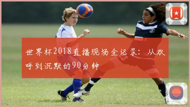 世界杯2018直播现场全记录：从欢呼到沉默的90分钟
