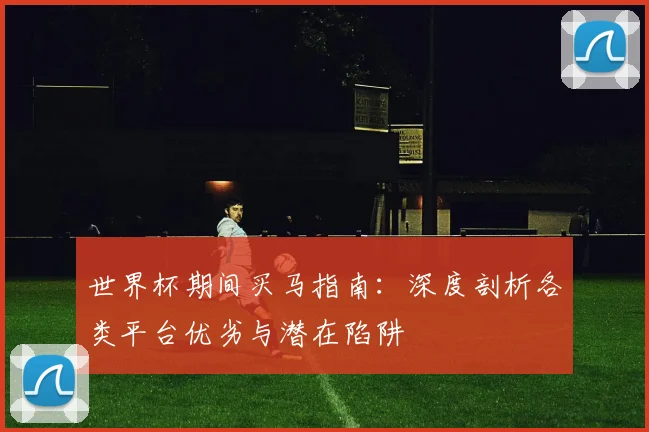 世界杯期间买马指南：深度剖析各类平台优劣与潜在陷阱