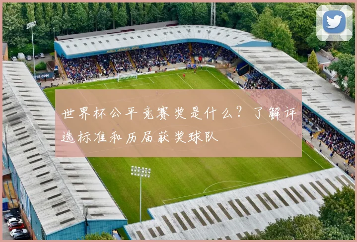 世界杯公平竞赛奖是什么？了解评选标准和历届获奖球队